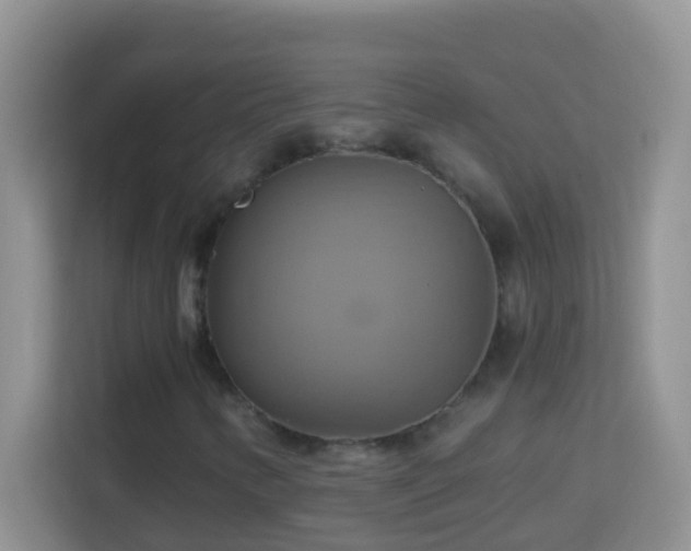 X0000114101346200910051437