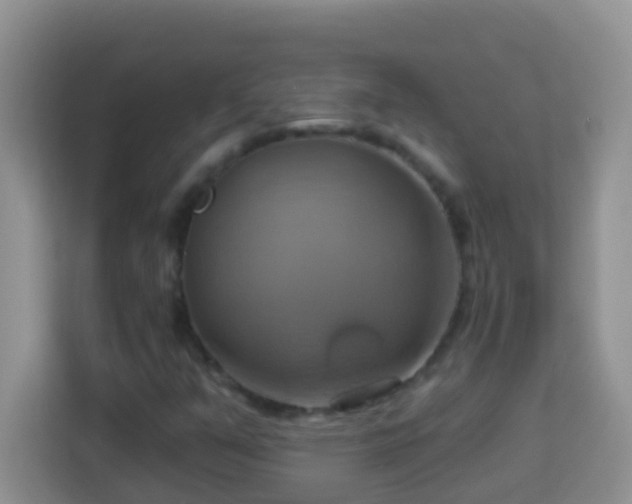 X0000114101351200910051437