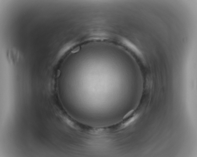 X0000114101352200910051437