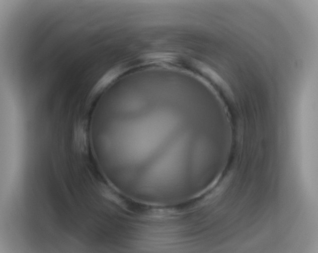 X0000114101354200910051437