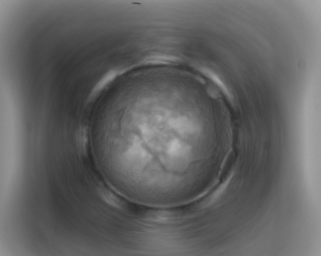 X0000114101355200910051437