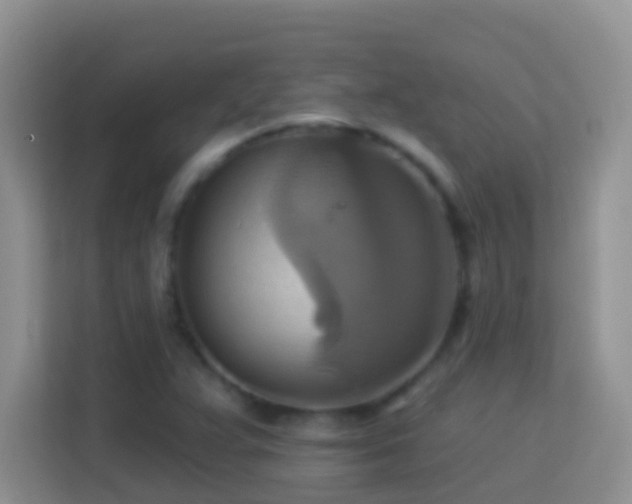 X0000114101359200910051437