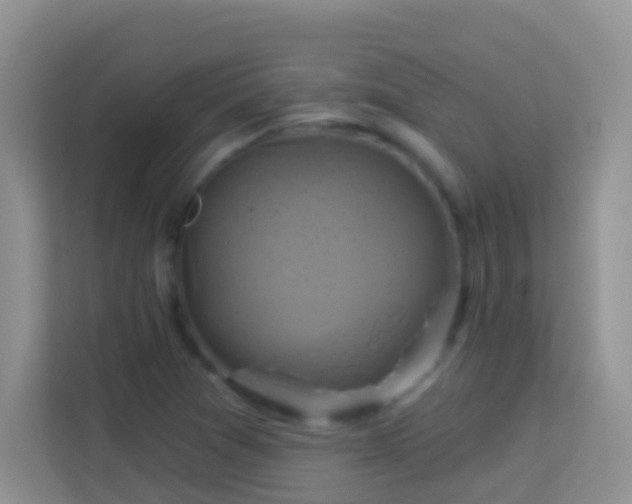 X0000114101361200910051437