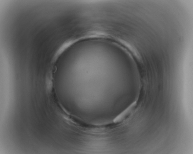 X0000114101363200910051437