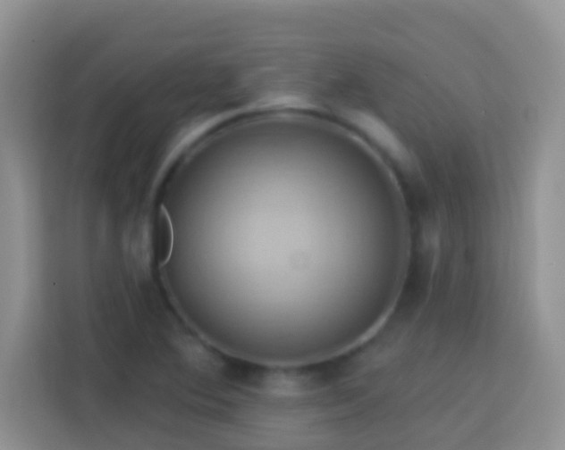 X0000114101364200910051437