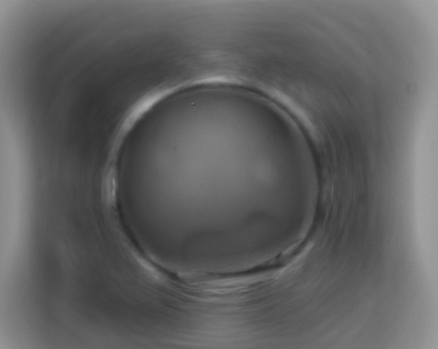 X0000114101367200910051437