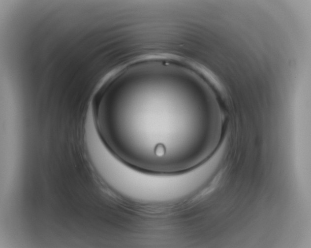 X0000114101369200910051436