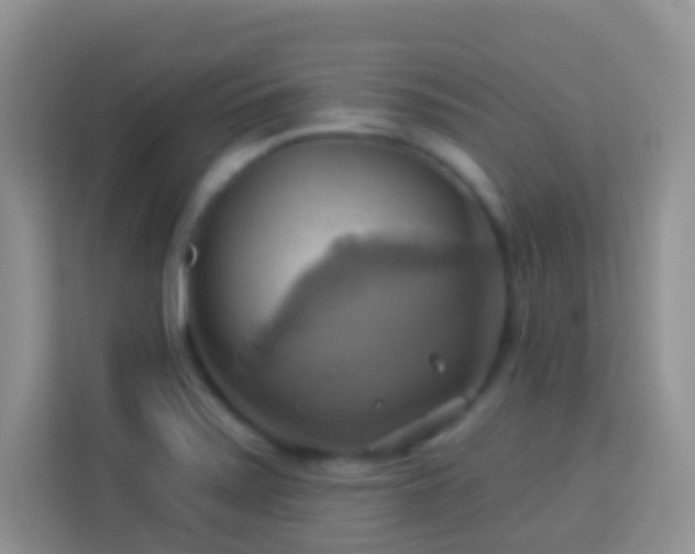 X0000114101371200910051436