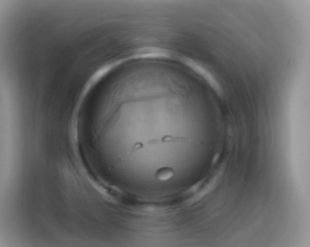 X0000114101375200910051436