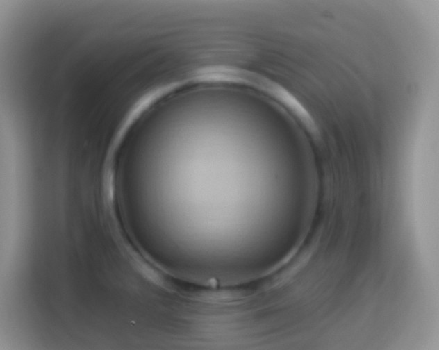 X0000114101376200910051436