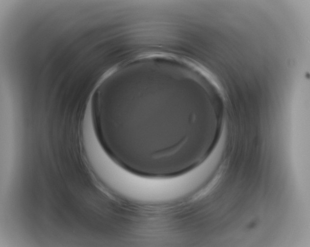 X0000114101377200910051436