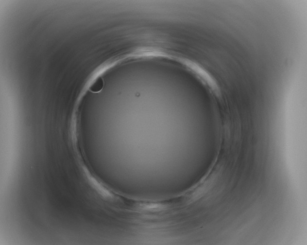 X0000114101382200910051436