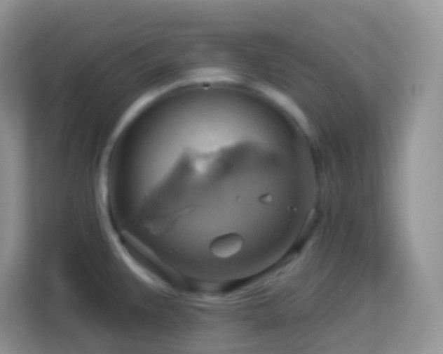 X0000114101383200910051436