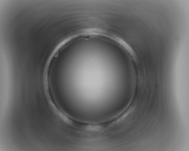 X0000114101384200910051436