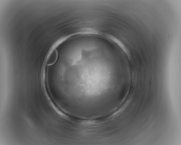 X0000114101387200910051436