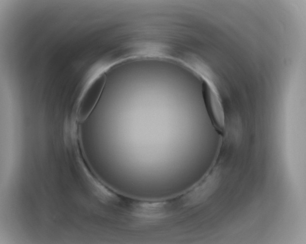 X0000114101389200910051436