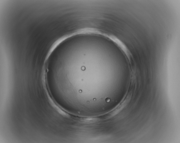 X0000114101390200910051436