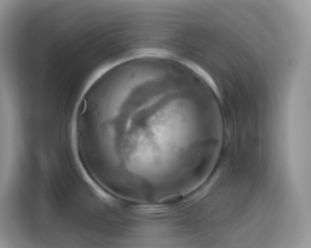 X0000114101391200910051436