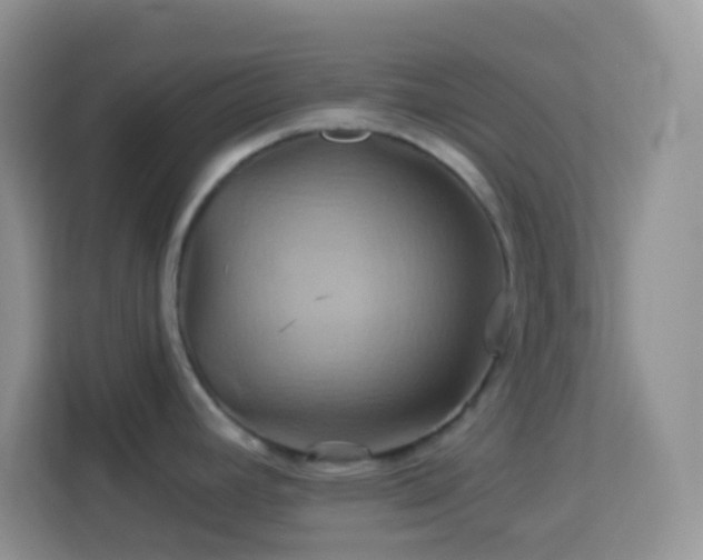 X0000114101392200910051436