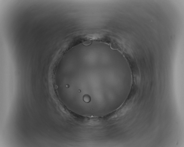 X0000114101393200910051436