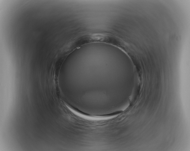 X0000114101394200910051436