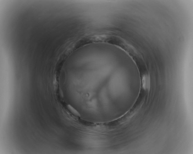 X0000114101395200910051436