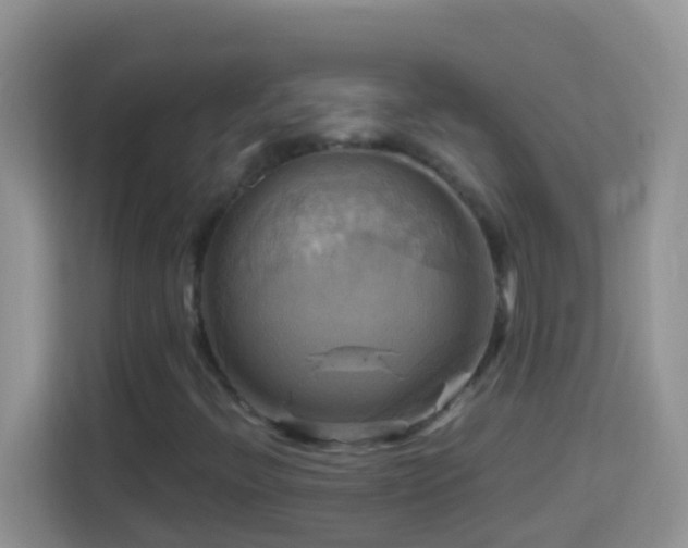 X0000114101396200910051436