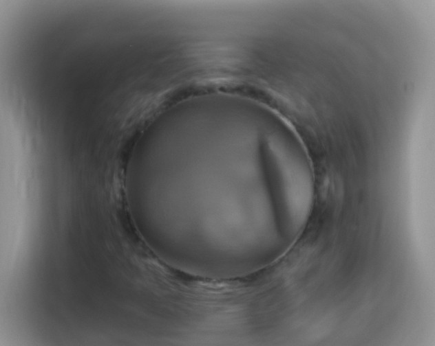 X0000114101397200910051436