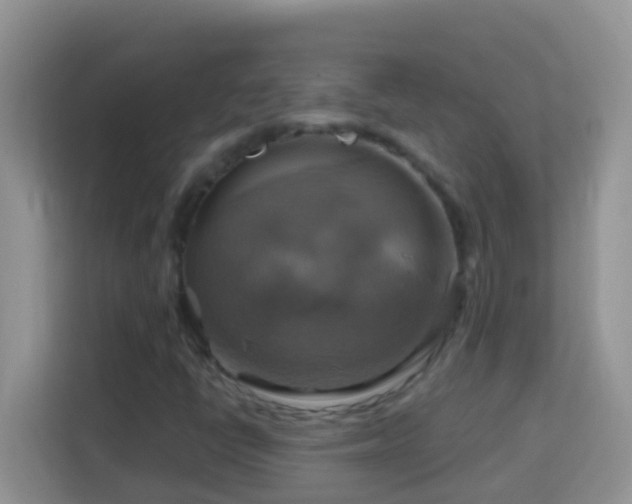 X0000114101398200910051436