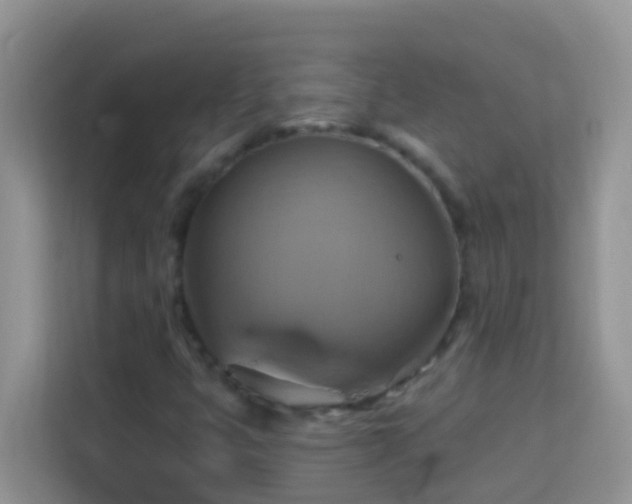 X0000114101399200910051436