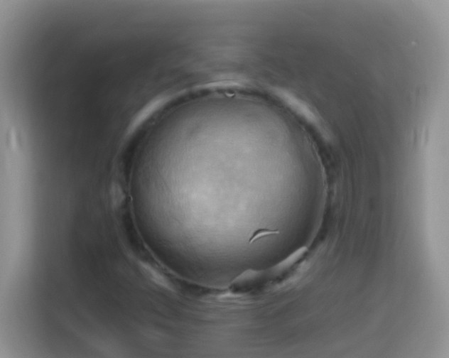 X0000114101400200910051436