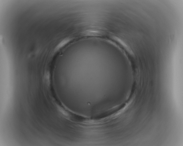 X0000114101402200910051436