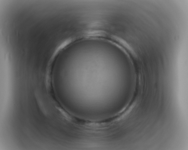 X0000114101405200910051436