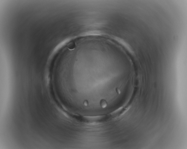 X0000114101406200910051436