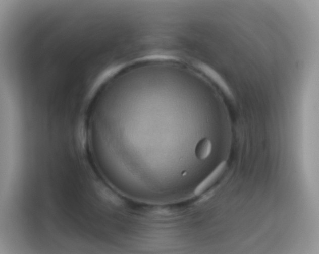 X0000114101408200910051436