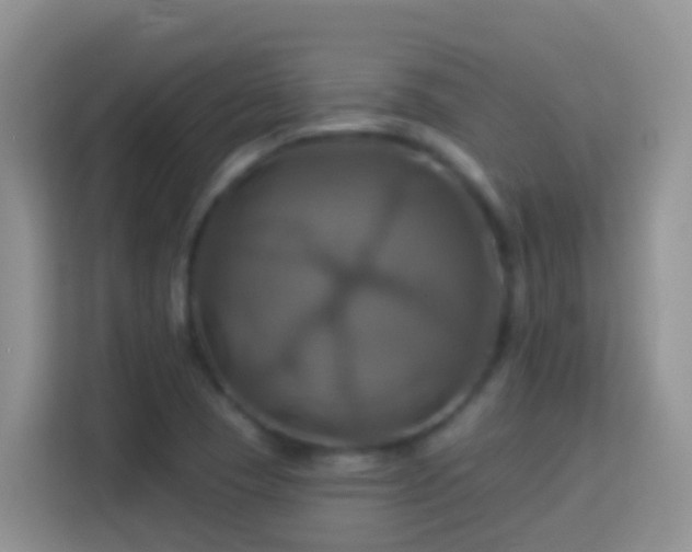 X0000114101409200910051436