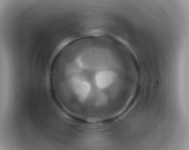 X0000114101410200910051436