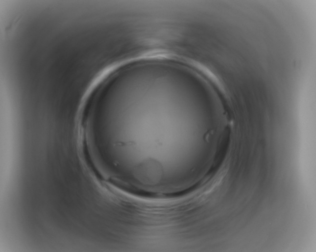 X0000114101414200910051436