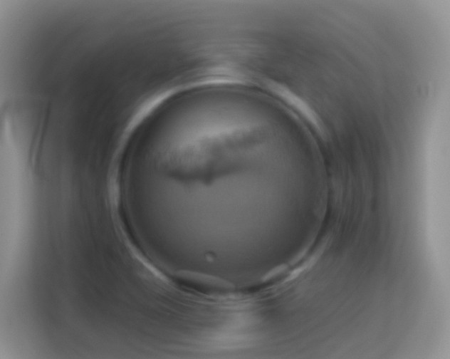 X0000114101415200910051436