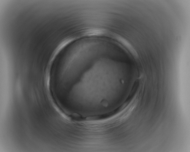 X0000114101418200910051436