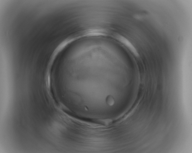 X0000114101419200910051436