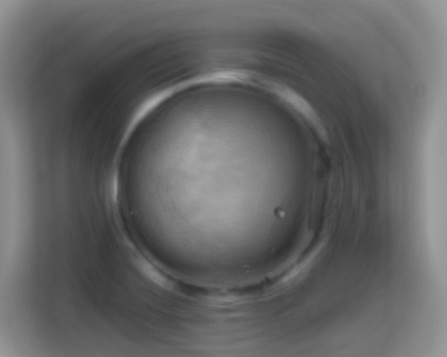 X0000114101420200910051436