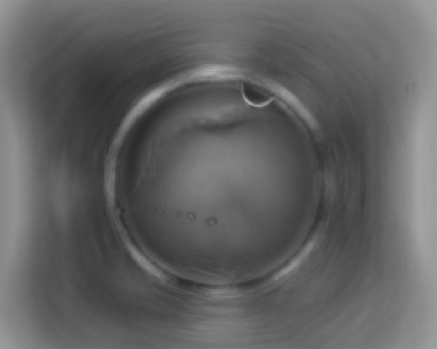 X0000114101421200910051436