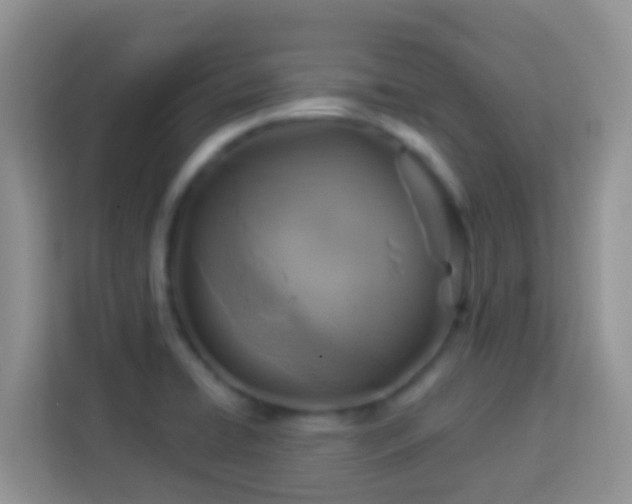 X0000114101422200910051436