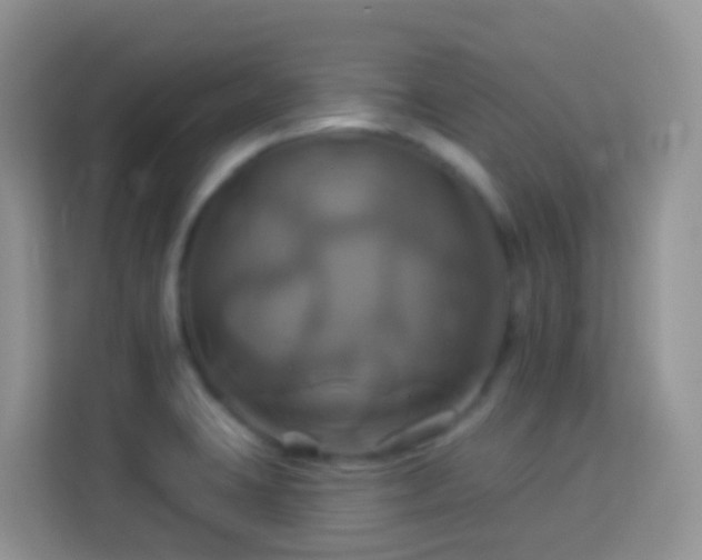 X0000114101423200910051436