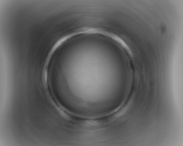 X0000114101424200910051436