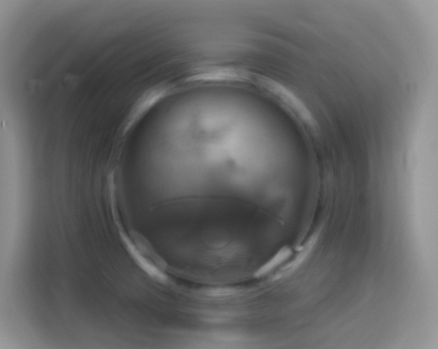 X0000114101425200910051436