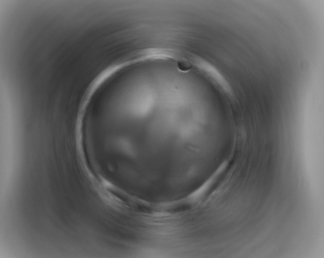 X0000114101427200910051436