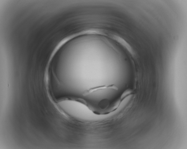 X0000114101428200910051436