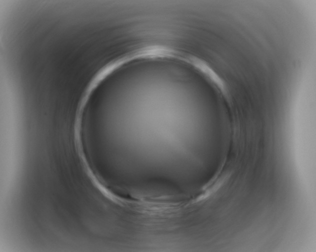 X0000114101429200910051436